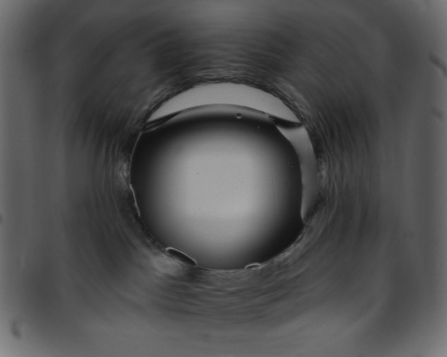 X0000095670045200801221213