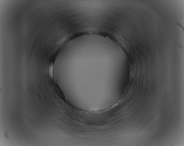 X0000095670047200801221213