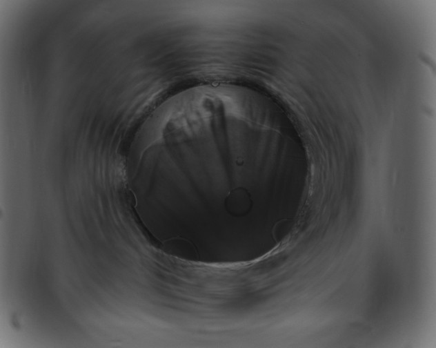 X0000095670048200801221213