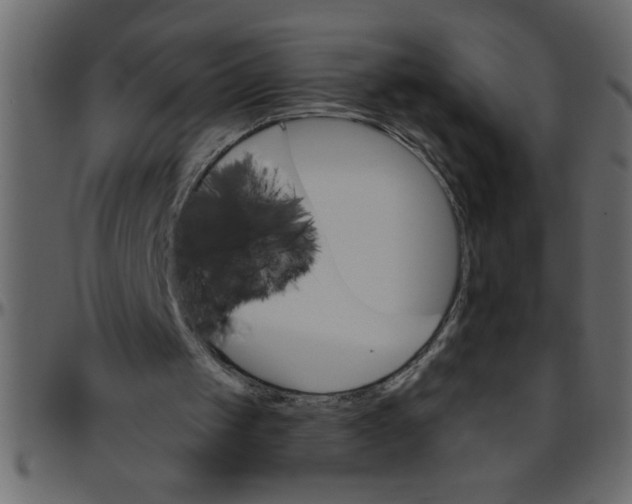 X0000095670049200801221213