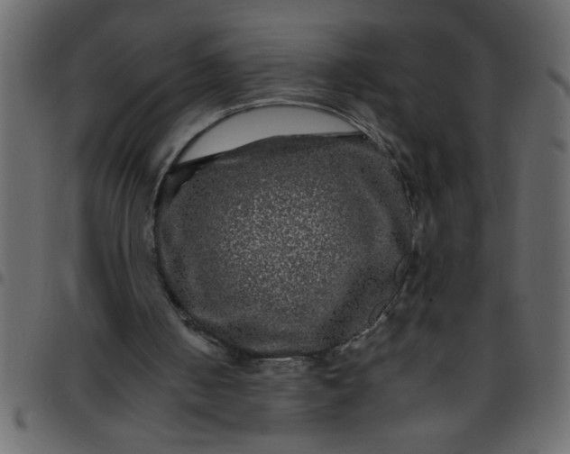 X0000095670050200801221213