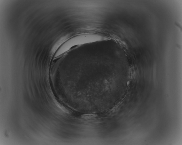 X0000095670051200801221213