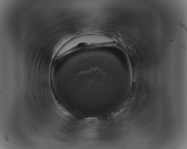 X0000095670052200801221213