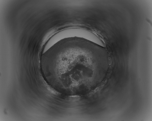 X0000095670053200801221213