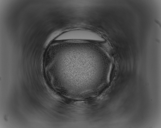 X0000095670054200801221213