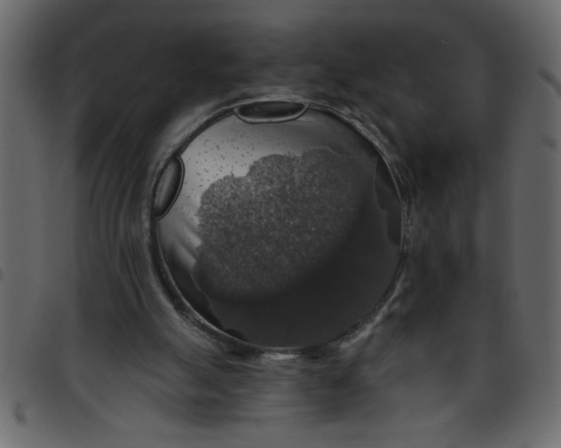 X0000095670055200801221213