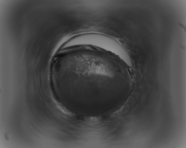 X0000095670056200801221213