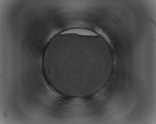 X0000095670058200801221213