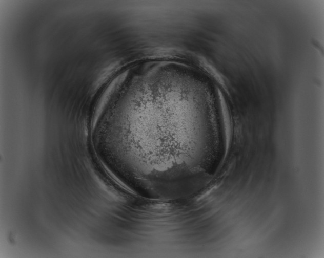 X0000095670059200801221213