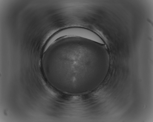 X0000095670060200801221213