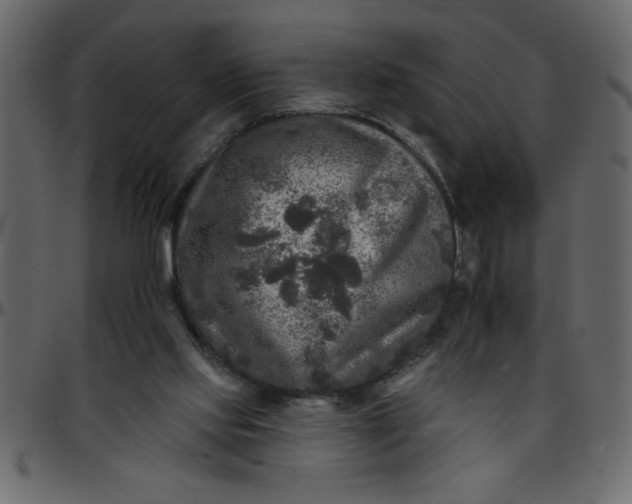 X0000095670061200801221213