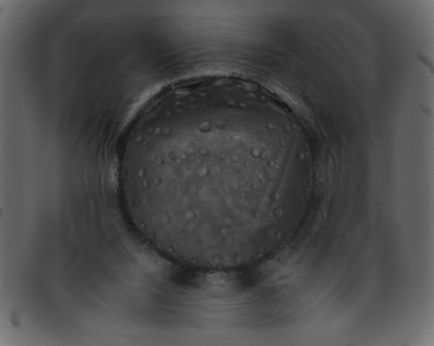 X0000095670064200801221213