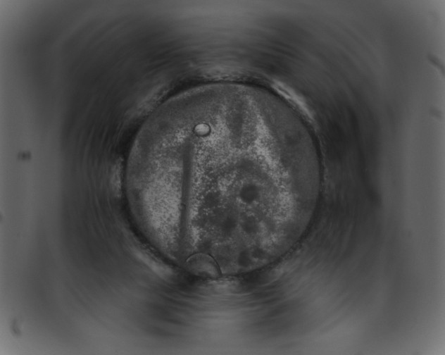 X0000095670065200801221213