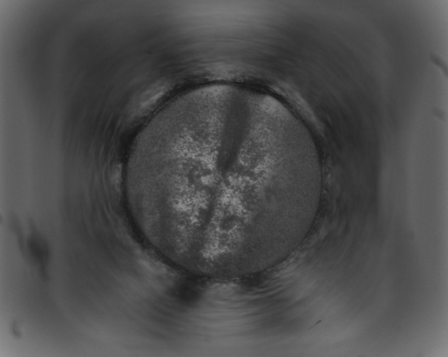 X0000095670066200801221213