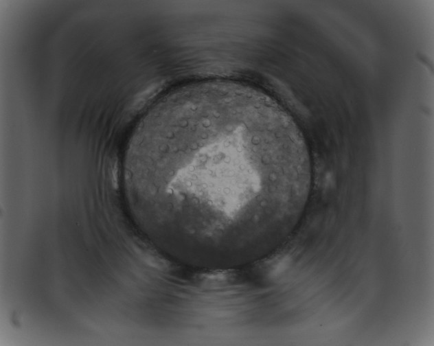 X0000095670068200801221213