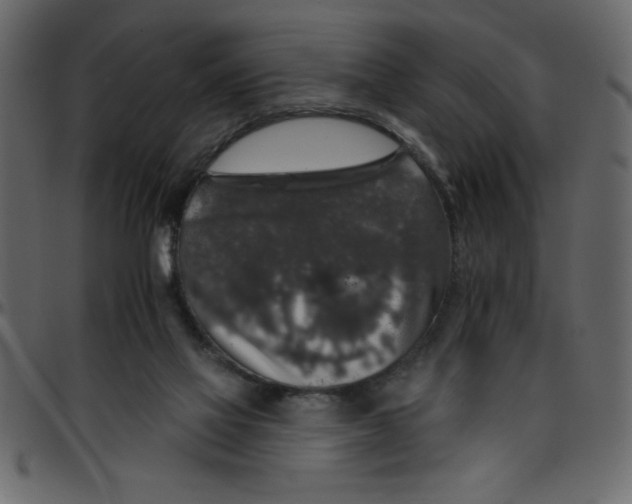 X0000095670069200801221213