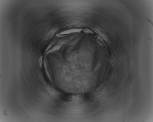 X0000095670070200801221213