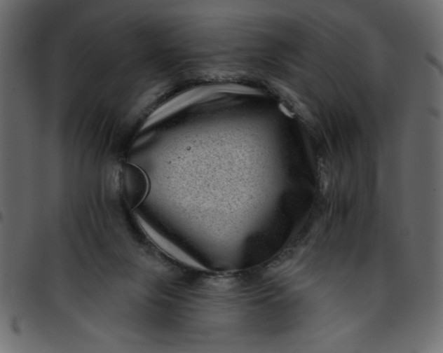 X0000095670071200801221213