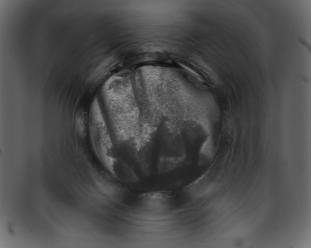 X0000095670074200801221213