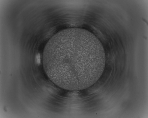 X0000095670075200801221213