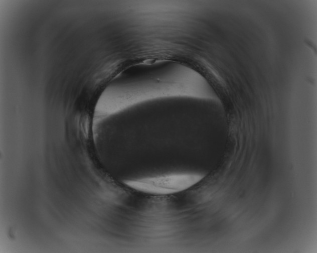 X0000095670076200801221213