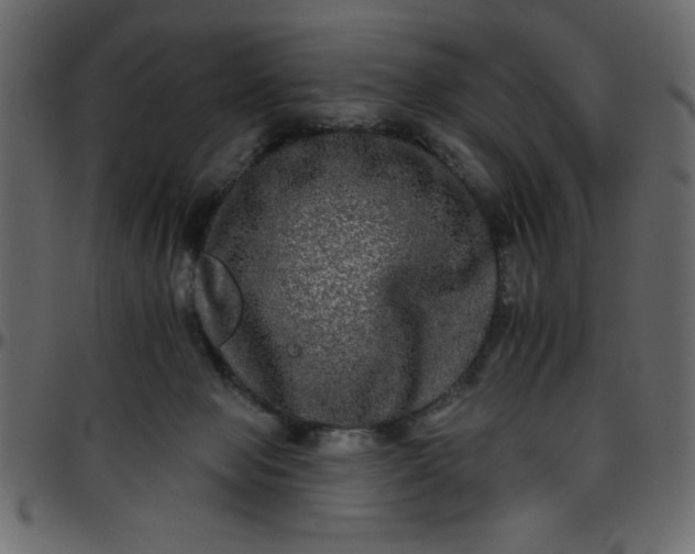 X0000095670077200801221213