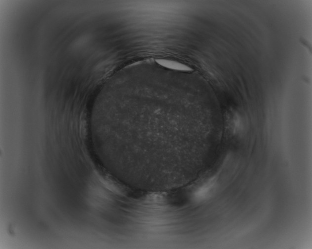 X0000095670080200801221213