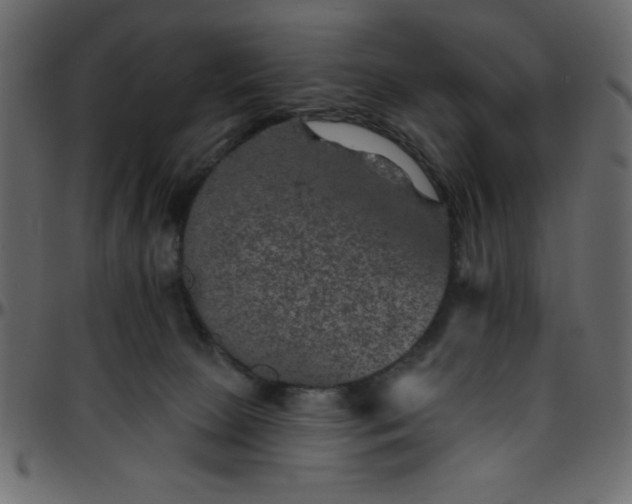 X0000095670081200801221213