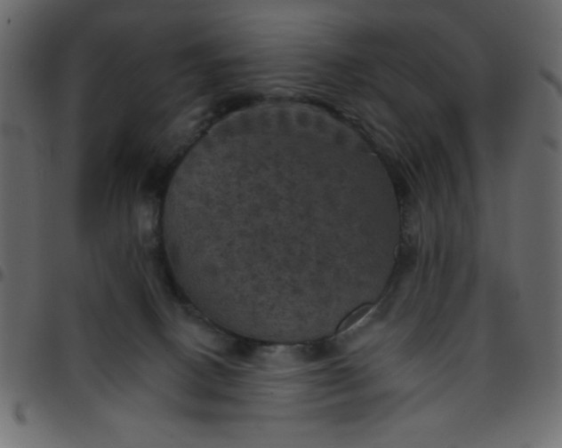 X0000095670082200801221213