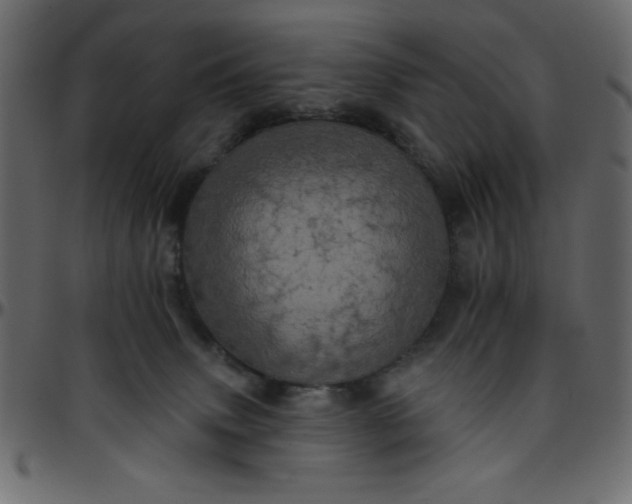 X0000095670083200801221213