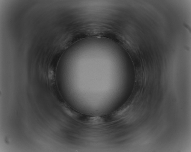 X0000095670087200801221213