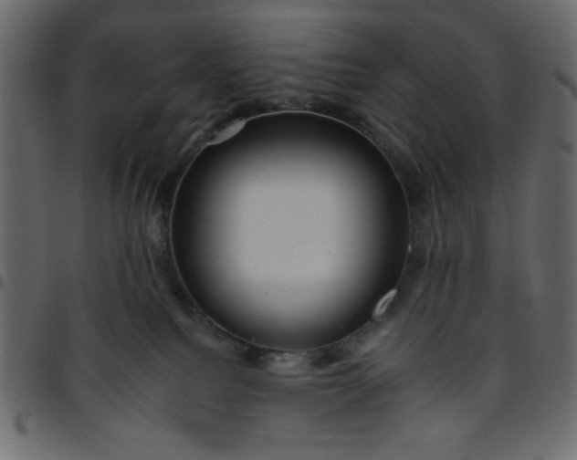 X0000095670088200801221213