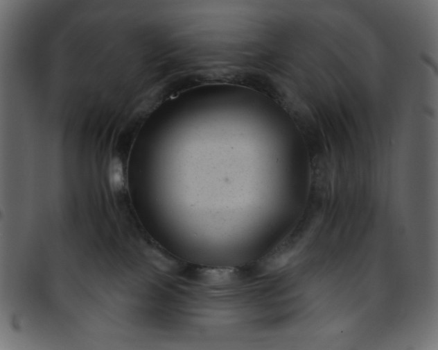 X0000095670089200801221213