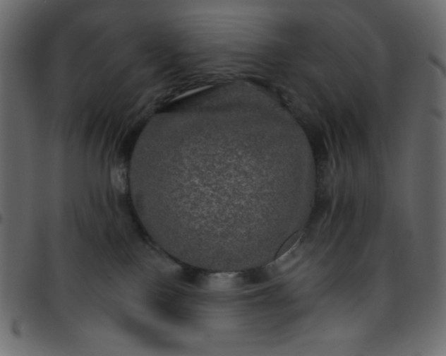 X0000095670090200801221213