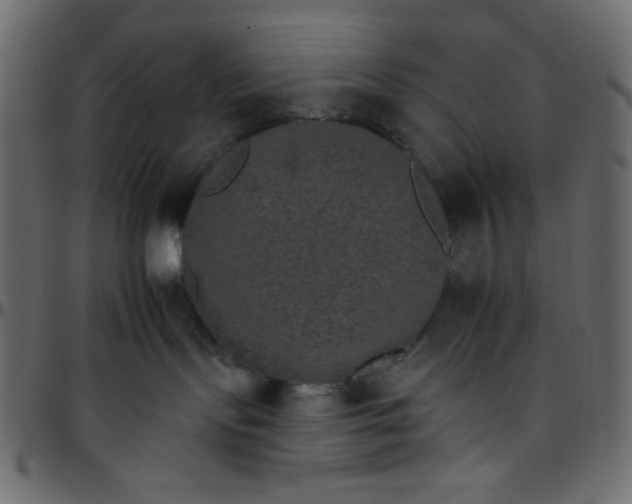 X0000095670095200801221213