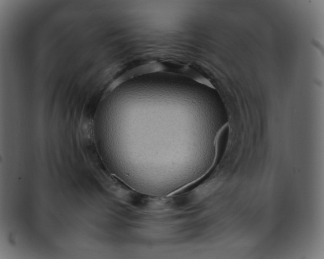 X0000095670096200801221213