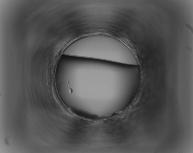 X0000095670097200801221212