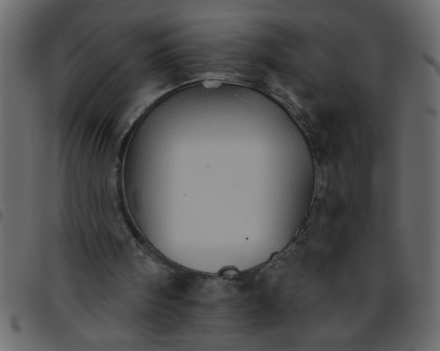 X0000095670098200801221212