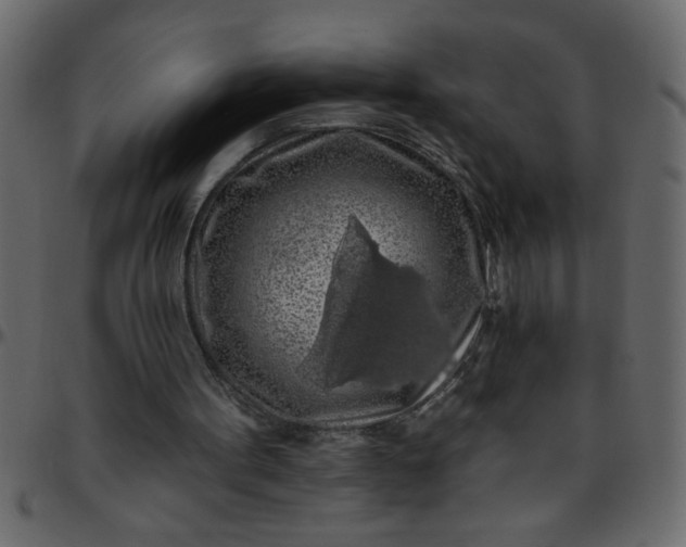 X0000095670099200801221212