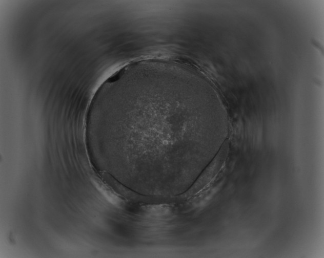 X0000095670100200801221212