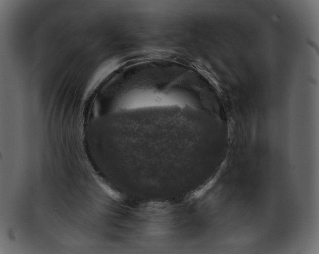 X0000095670101200801221212