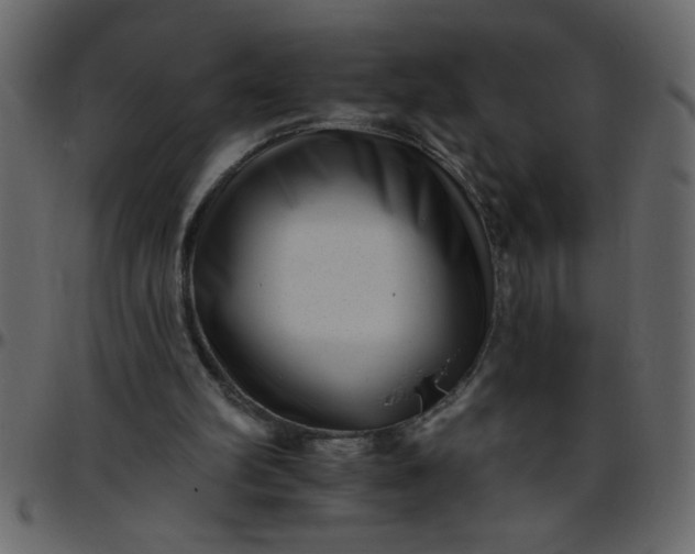 X0000095670102200801221212