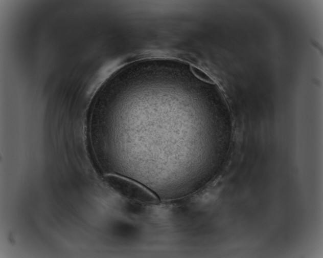 X0000095670103200801221212