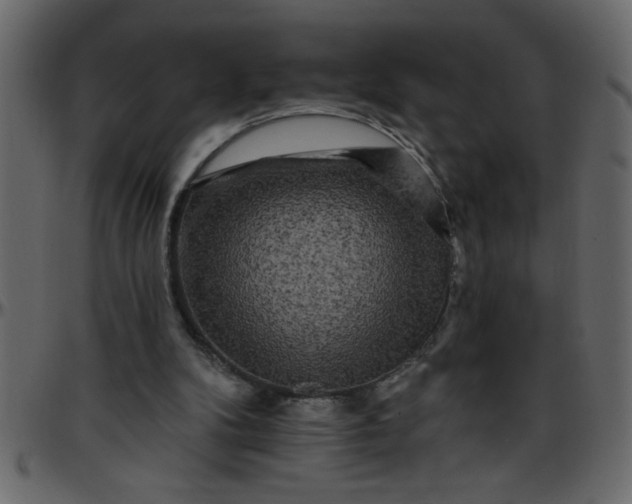 X0000095670104200801221212