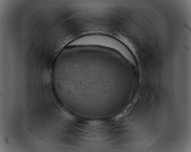 X0000095670105200801221212