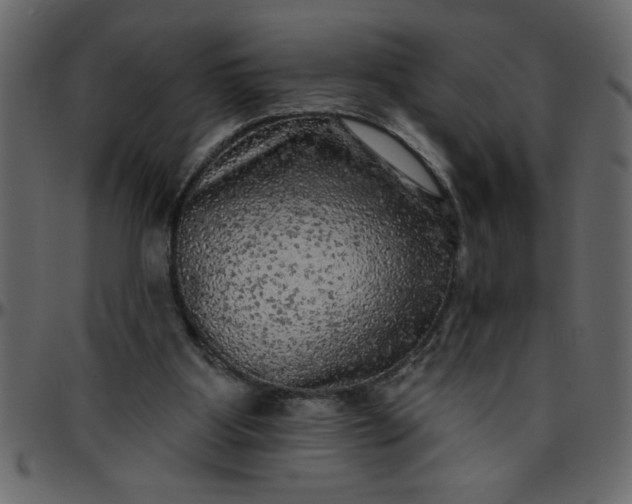 X0000095670107200801221212