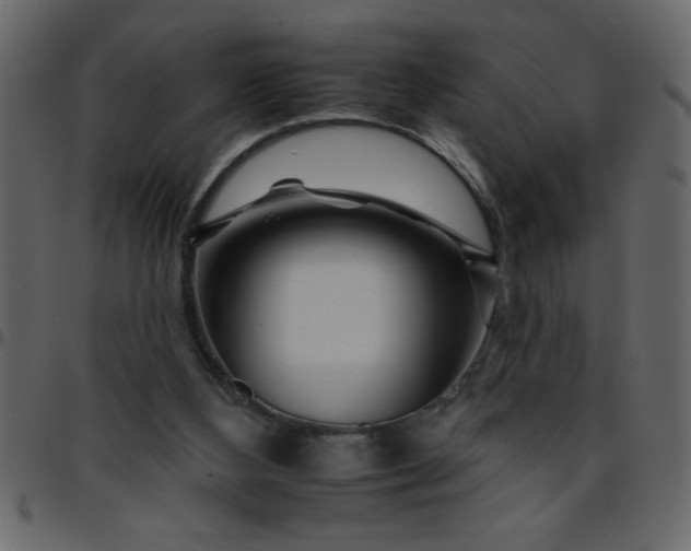 X0000095670108200801221212