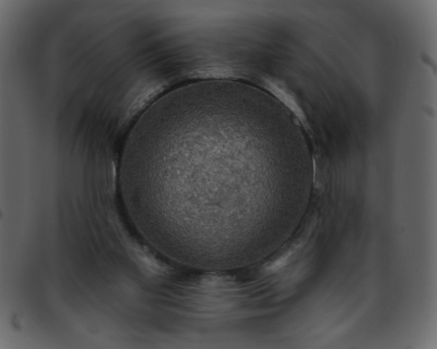 X0000095670109200801221212