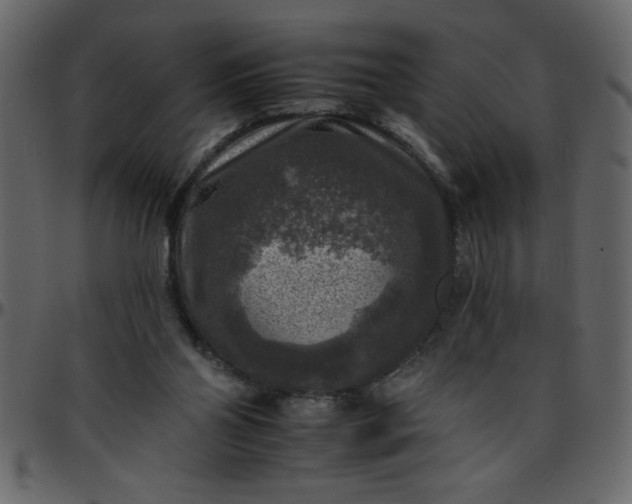 X0000095670110200801221212