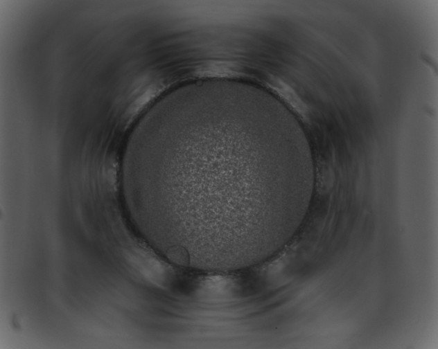 X0000095670111200801221212